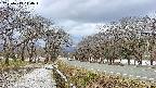 takano1-20250413144017.jpg