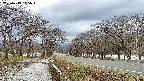 takano1-20250413145017.jpg