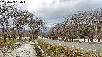 takano1-20250413150017.jpg
