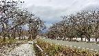 takano1-20250413151017.jpg