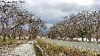 takano1-20250413152018.jpg
