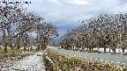 takano1-20250413153017.jpg
