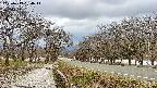 takano1-20250413154016.jpg