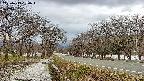 takano1-20250413160017.jpg