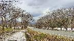 takano1-20250413161017.jpg