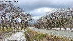 takano1-20250413162017.jpg
