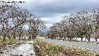 takano1-20250413163018.jpg