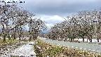 takano1-20250413164017.jpg