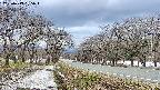 takano1-20250413165017.jpg