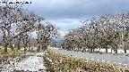 takano1-20250413170017.jpg