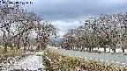 takano1-20250413171018.jpg