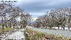 takano1-20250413172016.jpg