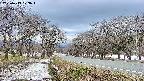 takano1-20250413173017.jpg