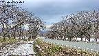 takano1-20250413174017.jpg