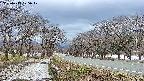 takano1-20250413175018.jpg