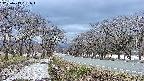 takano1-20250413181016.jpg