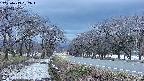 takano1-20250413182017.jpg