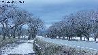 takano1-20250413183017.jpg