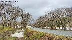 takano1-20250414081016.jpg