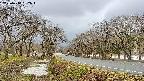 takano1-20250414082017.jpg