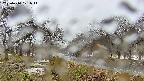 takano1-20250414121015.jpg