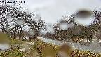 takano1-20250414141017.jpg