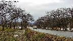 takano1-20250414154018.jpg