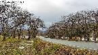 takano1-20250414161017.jpg