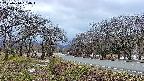takano1-20250414180017.jpg