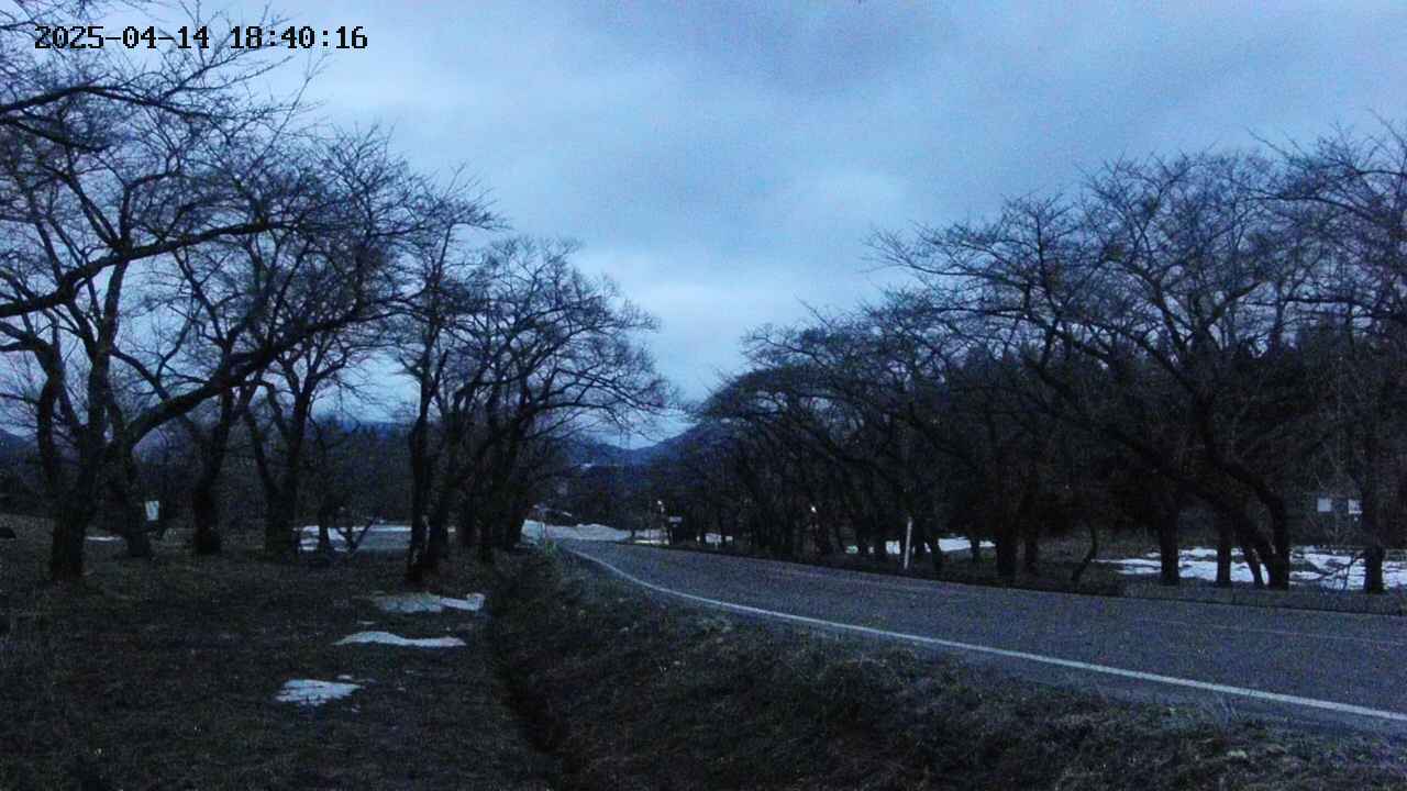 takano1-20250414184017.jpg