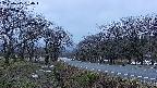 takano1-20250415050016.jpg