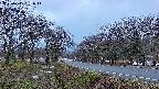 takano1-20250415051016.jpg