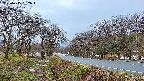 takano1-20250415052016.jpg
