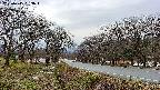 takano1-20250415053017.jpg