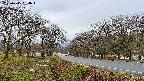 takano1-20250415054017.jpg