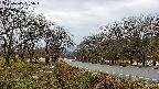 takano1-20250415055017.jpg