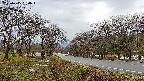 takano1-20250415060016.jpg