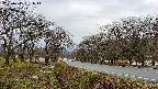 takano1-20250415061015.jpg