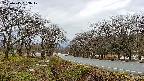takano1-20250415063018.jpg