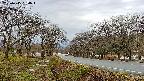 takano1-20250415064017.jpg