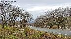 takano1-20250415072017.jpg