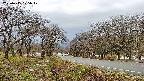 takano1-20250415075018.jpg