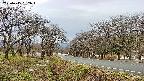 takano1-20250415082017.jpg