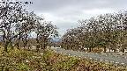 takano1-20250415090018.jpg