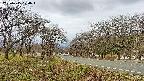 takano1-20250415100018.jpg