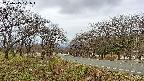 takano1-20250415101017.jpg