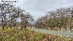 takano1-20250415104018.jpg