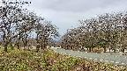 takano1-20250415105016.jpg