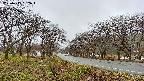 takano1-20250415132018.jpg