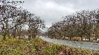 takano1-20250415142017.jpg